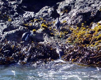 P2280456
