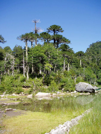 P1010530