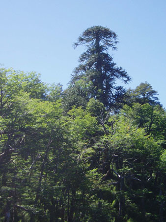 P1010535