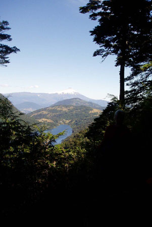 P3050537