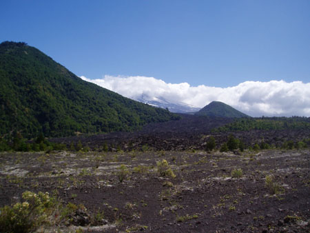 P3060002