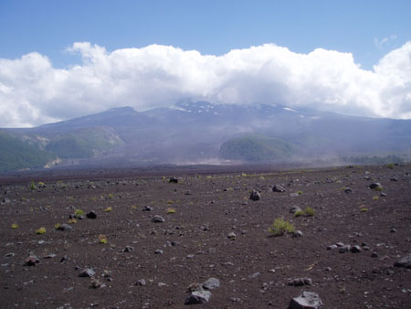P3060005