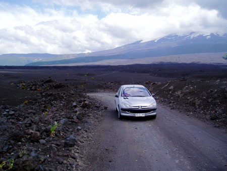 P3060008