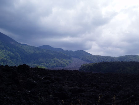 P3060009