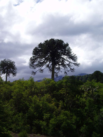 P3060010