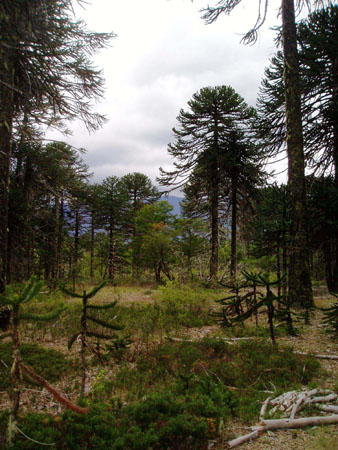 P3060013