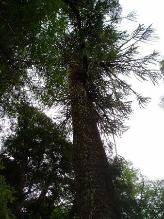 P3060014