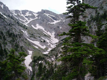 P5220366