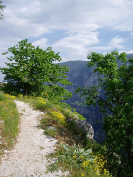 P5250389