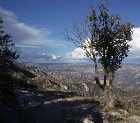 P9120653