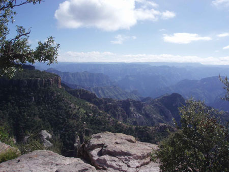 P9120673