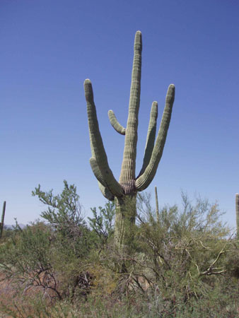 P9210308