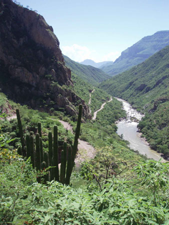 P9130687