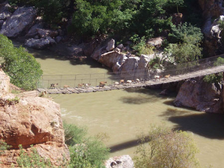 P9140696