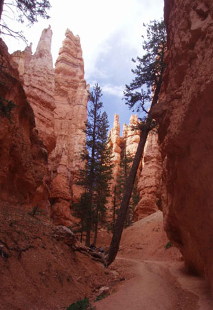 PA040116