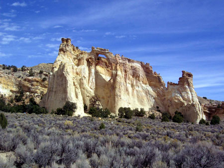 PA040133