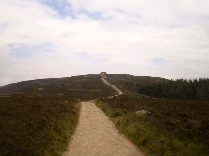 P6300009