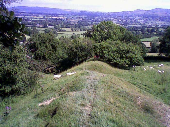 Photo-0010