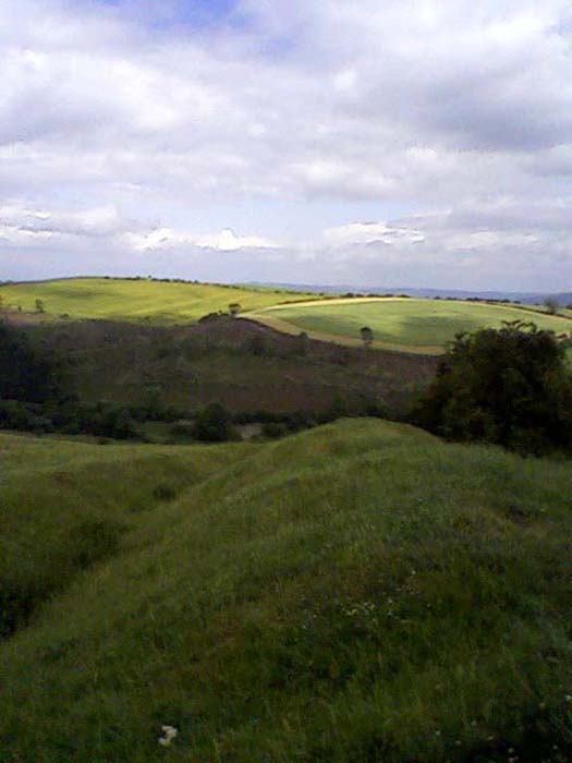 Photo-0015