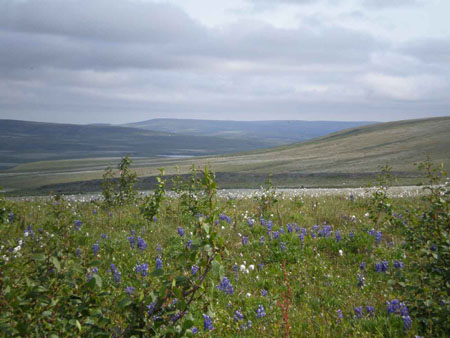 P6240041