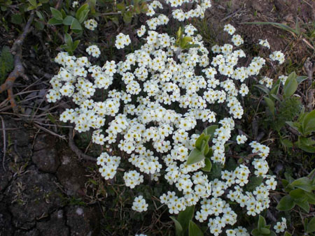 P6260097