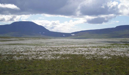 P6280154