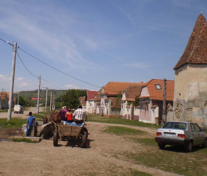P6070090