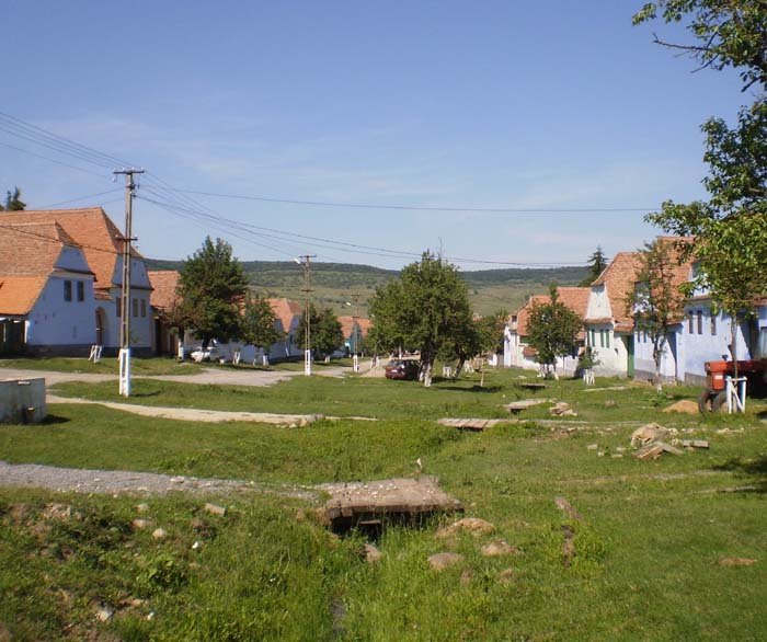 P6070104