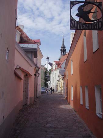 P7070555