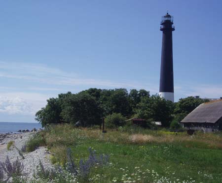 P7090579
