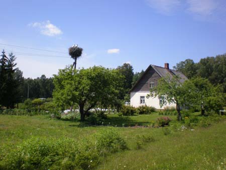 P7110342