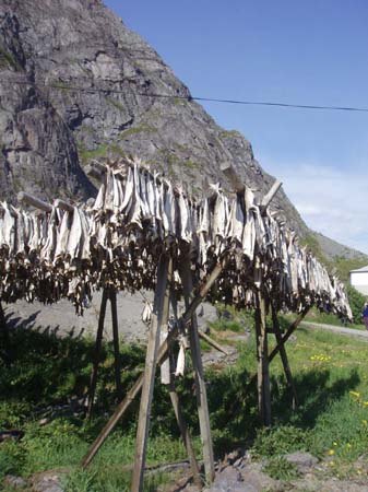 P6080269