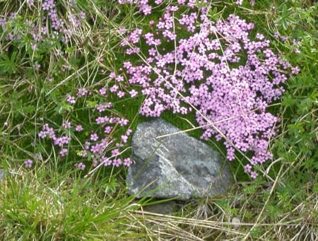 P6100078